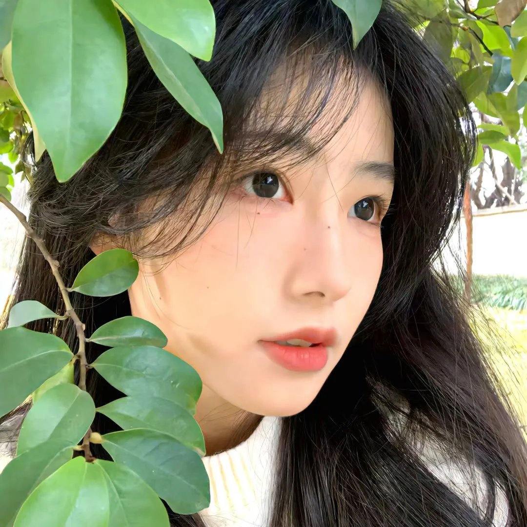 四大癫王